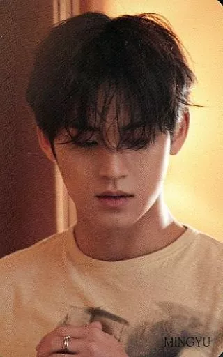 FACE THE SUN HMV特典　　MINGYU s-l400.jpg