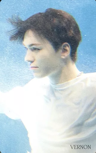 SEVENTEEN/VERNON(バーノン)/CD「Face the Sun」(正規盤)Loppi・HMV限定特典スペシャルフォトカード