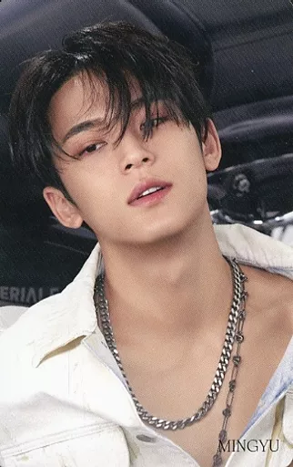 SEVENTEEN/MINGYU(ミンギュ)/CD「Face the Sun」(CARAT VER.)Loppi・HMV限定特典スペシャルフォトカード