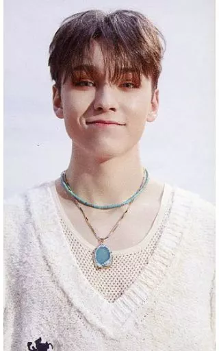 SEVENTEEN Face The Sun 特典トレカ　バーノン 駿河屋 -<中古>SEVENTEEN/VERNON(バーノン)/CD「Face the Sun」(正規盤