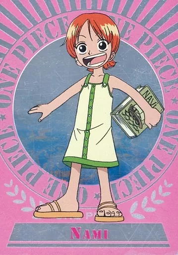 ワンピース　エッチングカード　ナミ　n-30 駿河屋 -<中古>N-30[ノーマル]：ナミ（アニメ・ゲーム）