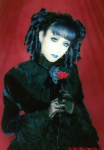 MALICE MIZER 再会の血と薔薇 マリスミゼル mana様 時は世紀末…オリジナルメンバー3人になり覚悟と決意を決め世に放たれた