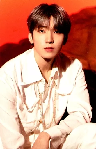 BE THE SUN ウォヌ SEVENTEEN エキシビションBe the sun名古屋 入場特典 ウォヌ