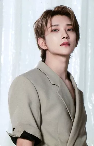 seventeen　be the sun メモリアルカード　ジョシュア 駿河屋 -<中古>47[ノーマル]：SEVENTEEN/JOSHUA(ジョシュア