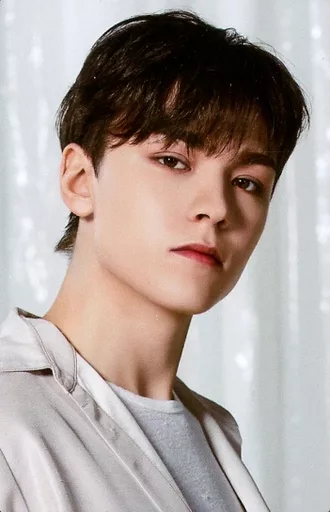66[ノーマル]：SEVENTEEN/VERNON(バーノン)/「SEVENTEEN WORLD TOUR [BE THE SUN]」トレーディングカード