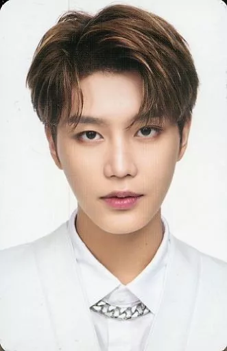 駿河屋 -<中古>NCT127/テイル(TAEIL)/「NCT 127 2ND TOUR NEO