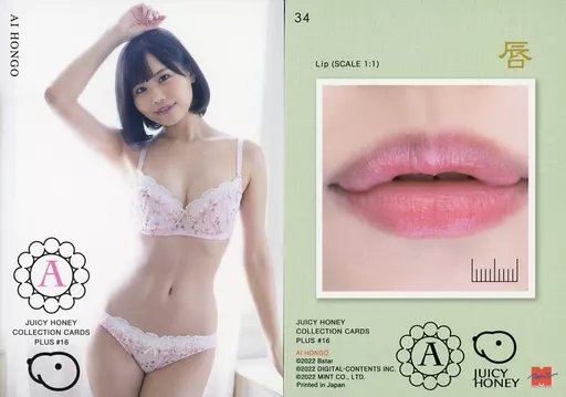 34 本郷愛 二階堂夢 ジューシーハニー PLUS#16 レギュラーカード 本郷愛 ジューシーハニー PLUS #16 コンボランジェリーカード