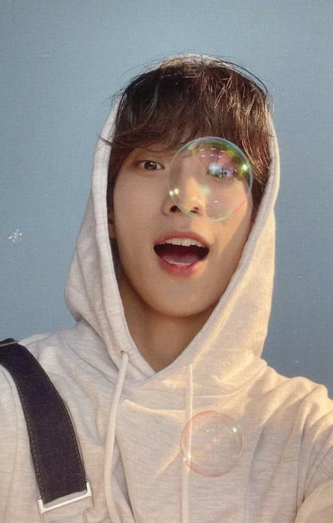 SEVENTEEN/DK(ドギョム)/裏面緑/CD「JAPAN 1ST EP DREAM」(CARAT盤)封入特典フォトカード