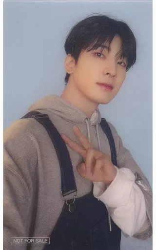 SEVENTEEN JAPAN 1st EP DREAM ウォヌ dee on X: 