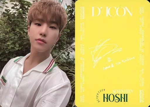 DICON SEVENTEEN HOSHI 写真集 フォトカードセット DICON D'FESTA MINI EDITION SEVENTEEN HOSHI] | kokode books