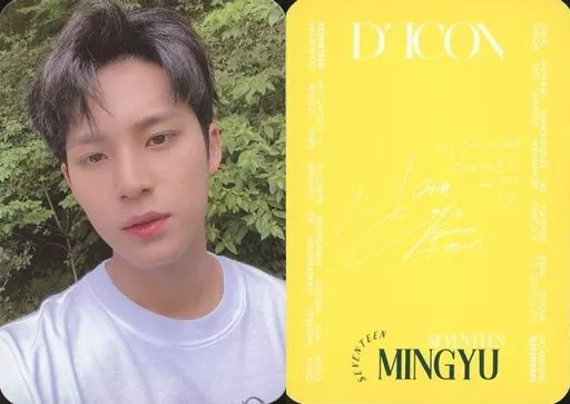 Dicon vol.12 SEVENTEEN ミンギュ MINGYU 駿河屋 -<中古>SEVENTEEN/MINGYU(ミンギュ)/「Dicon vol.12 SEVENTEEN