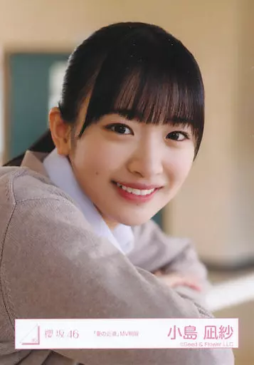 駿河屋 -<中古>小島凪紗/バストアップ/櫻坂46ランダム生写真【「夏の