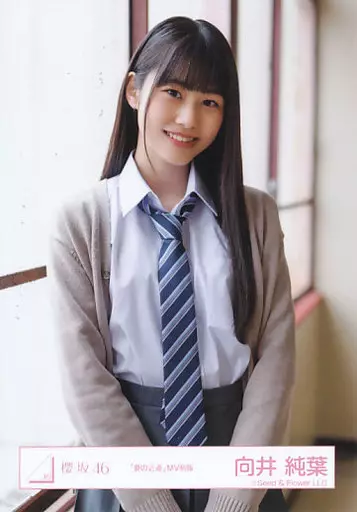 向井純葉 櫻坂46 夏の近道 MV 生写真 直筆 サイン 向井純葉 櫻坂46 夏の近道 MV 生写真 直筆 サイン - メルカリ