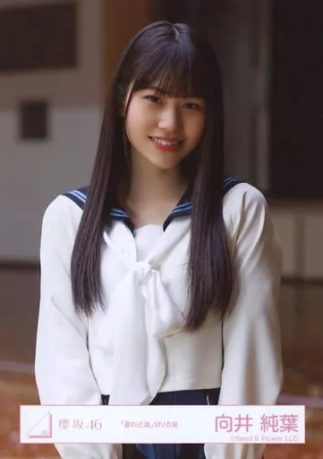 向井純葉　夏の近道　櫻坂46 生写真 Amazon.co.jp: 櫻坂46 生写真 夏の近道 MV衣装 4種コンプ 向井純