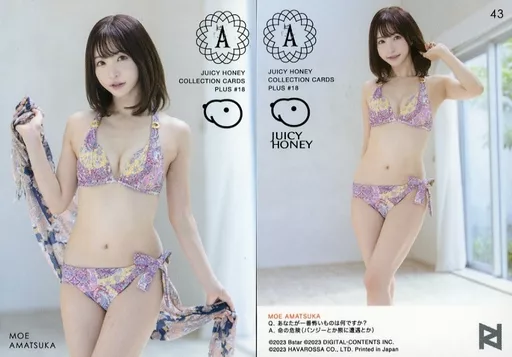 49 天使もえ ジューシーハニー PLUS#18 レギュラーカード ジューシーハニー PLUS 凄まじい #18 レギュラーカード 72種