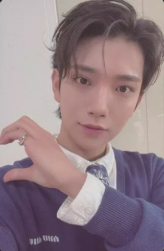 駿河屋 -<中古>SEVENTEEN/JOSHUA(ジョシュア)/裏面ピンク/CD「FML