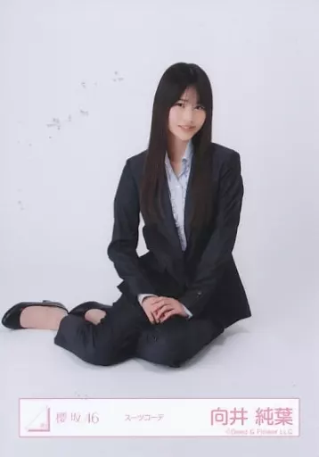 駿河屋 -<中古>向井純葉/座り/櫻坂46ランダム生写真【スーツ