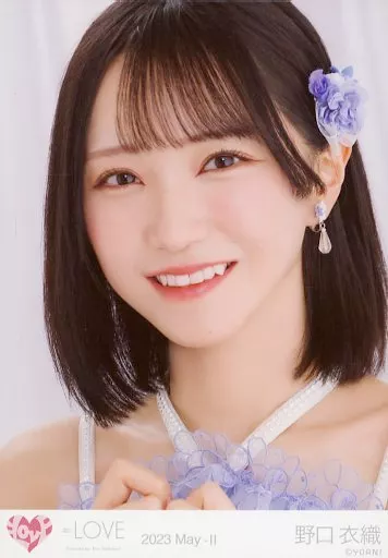 野口衣織 生写真 バラ⑬ LOVE 野口衣織 13th Single この空がトリガー 生写真 イコラブ CD封入