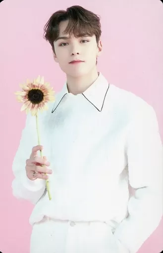 駿河屋 - 【買取】56：SEVENTEEN/VERNON(バーノン)/「SEVENTEEN CAFE