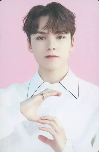 駿河屋 - 【買取】58：SEVENTEEN/VERNON(バーノン)/「SEVENTEEN CAFE