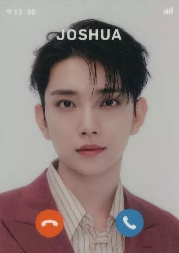 駿河屋 -<中古>SEVENTEEN/JOSHUA(ジョシュア)/「SEVENTEEN WORLD TOUR