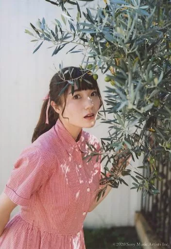 井澤美香子 写真集 フォトブック 4弾 井澤美香子 | marche