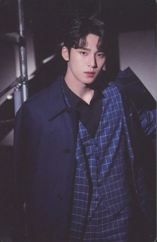 駿河屋 -<中古>SEVENTEEN/MINGYU(ミンギュ)/「SEVENTEEN 2021 HOLIDAY