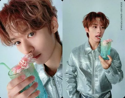 social path FC限定盤 リノ leeknow 8枚セット Amazon.co.jp: Stray Kids リノ トレカ 大阪 会場限定 leeknow