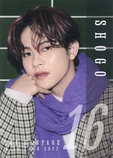 駿河屋 -<中古>THE RAMPAGE from EXILE TRIBE/岩谷翔吾/THE