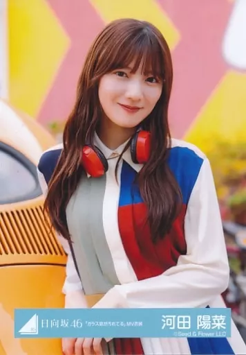 駿河屋 -<中古>河田陽菜/上半身/日向坂46ランダム生写真