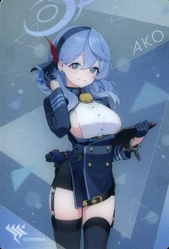 No.13：アコ