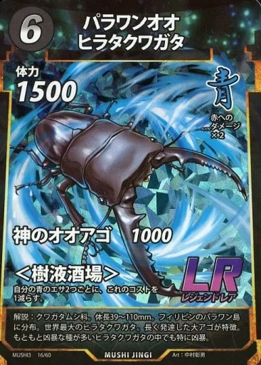 16/60[LR]：パラワンオオヒラタクワガタ