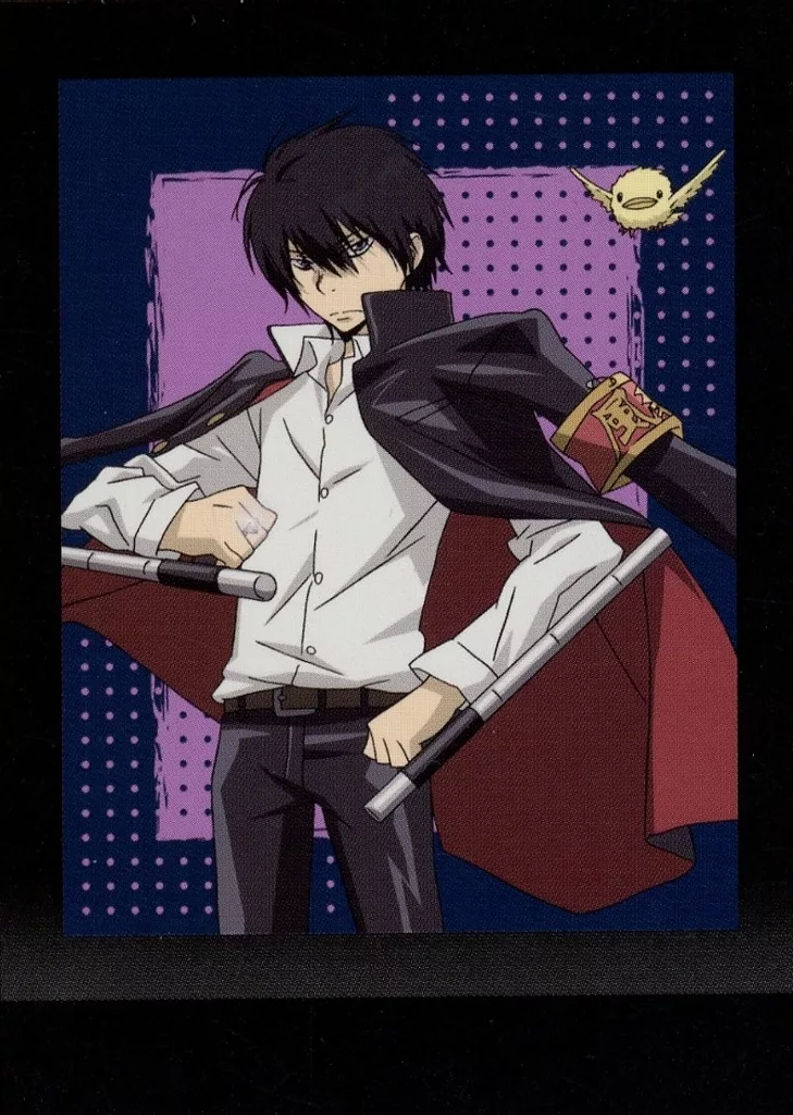 サ*リ様 雲雀恭弥　カード⑥ Amazon.co.jp: 天野明展 家庭教師ヒットマンREBORN! イ カード 雲雀恭