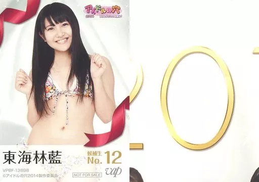 駿河屋 -<中古>No.12：東海林藍/DVD「アイドルの穴2014～日テレ