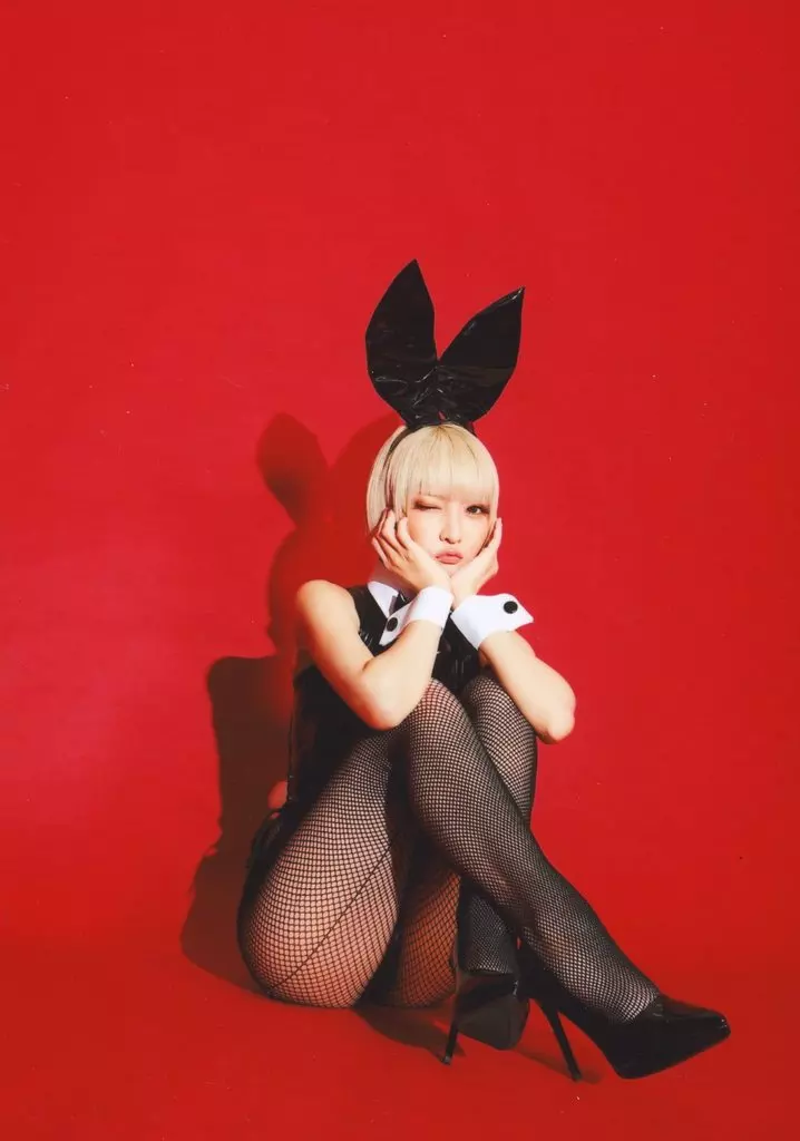 「ギャラリー オブ ザ ノーズアートクイーン BUNNY! 火将ロシエル特装版 ギャラリー オブ ザ ノーズアートクイーン スペシャル
