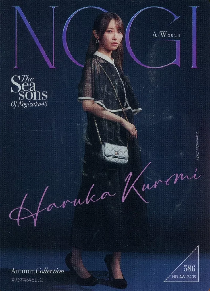 未使用 乃木坂46黒見明香 のぎBOX S賞フォトT NOGI A/W 2024 駿河屋 -<中古>386[ノーマル]：黒見明香/NB-AW-2409/「乃木坂46 Mobile