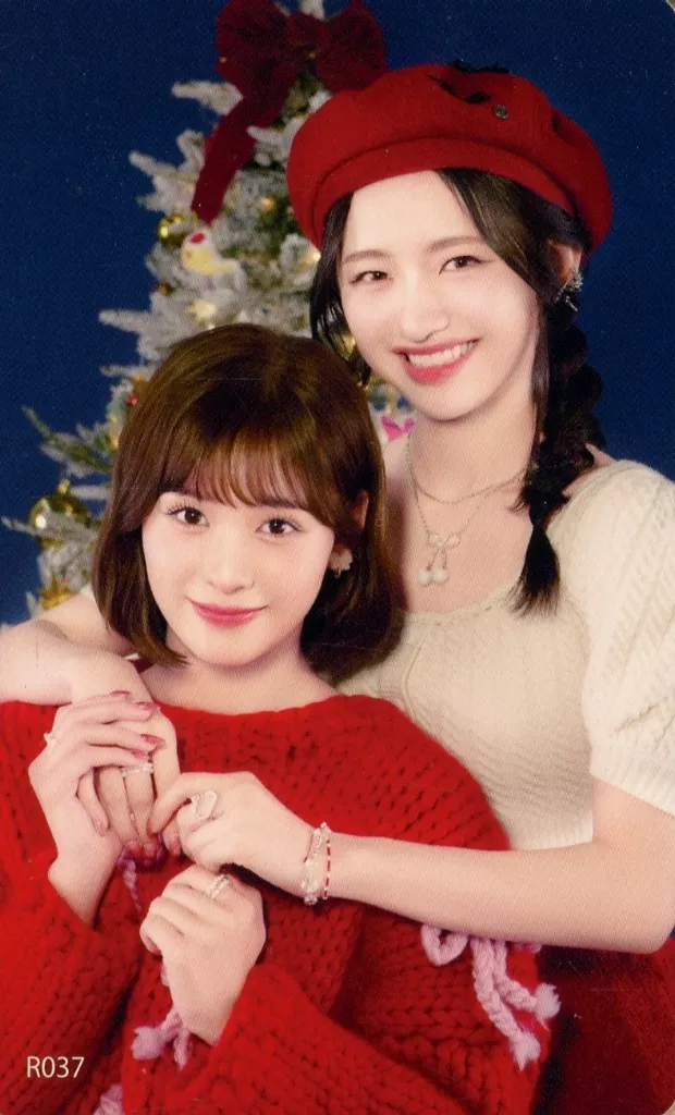 石井蘭　sweet holiday コンプリート 洋ラン【開花見込株】ミニカトレア スイート シュガー 'イシイ' Sweet