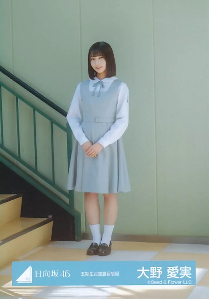 大野愛実　生写真 大野愛実［日向坂46］ULTRA-FINEスチール生写真L判 19枚 タレント