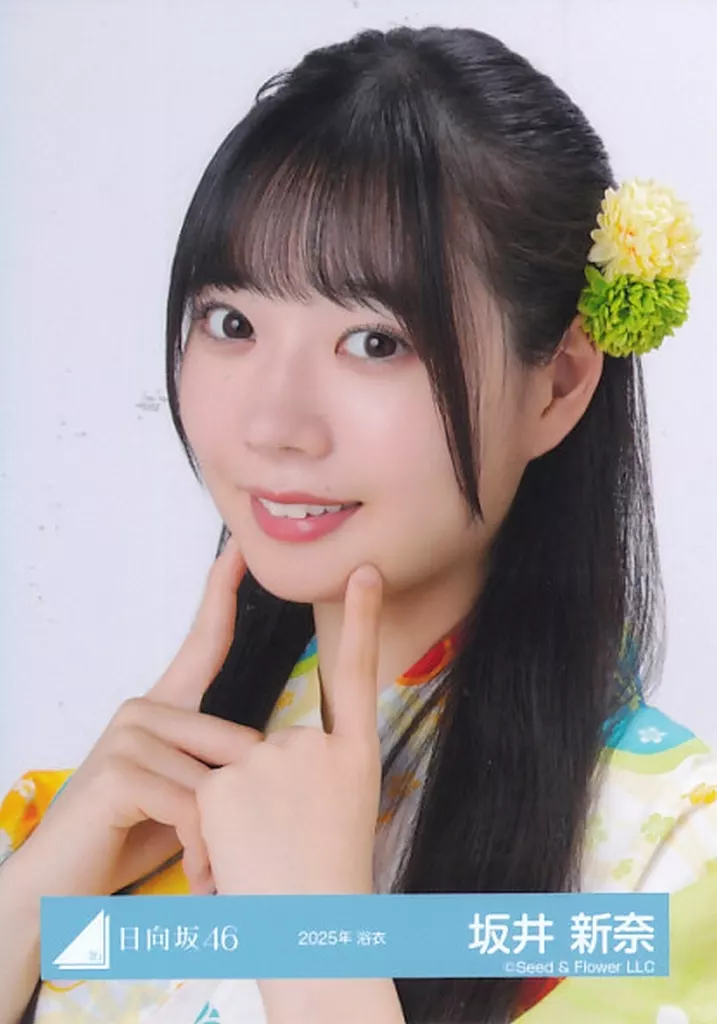 駿河屋 -<中古>日向坂46/坂井新奈/バストアップ/日向坂46ランダム生