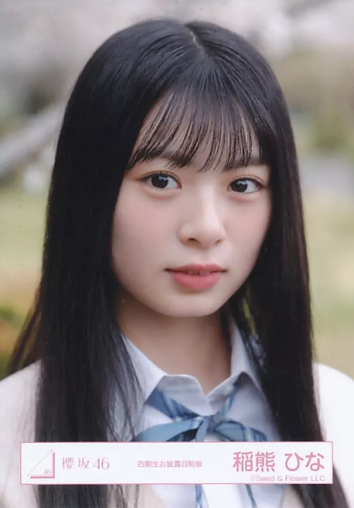 駿河屋 -<中古>櫻坂46/稲熊ひな/バストアップ/櫻坂46ランダム生写真