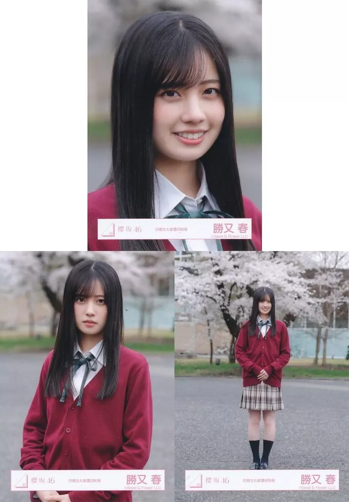 駿河屋 -<中古>◇櫻坂46/勝又春/櫻坂46ランダム生写真【四期生お披露目