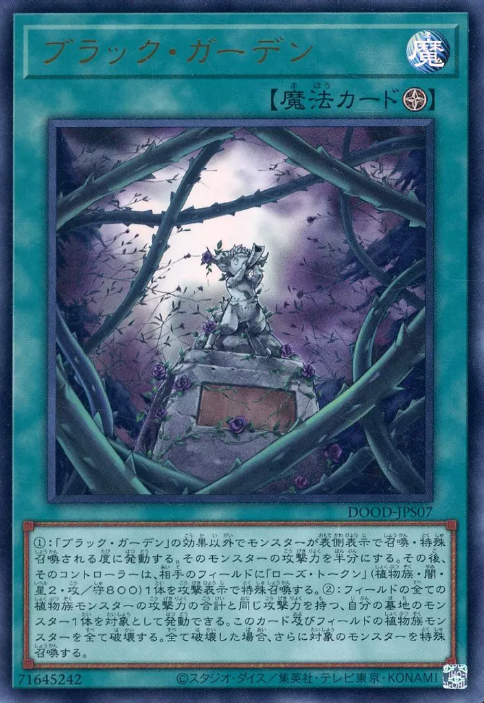 遊戯王OCG ブラック・ローズ・ドラゴン軸デッキ 遊戯王OCG ブラック・ローズ・ドラゴン軸デッキ Amazon.co.jp