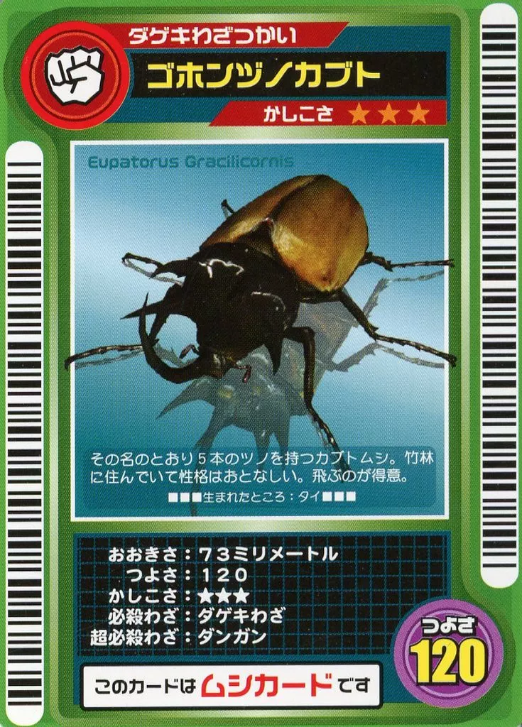 ゴホンヅノカブト