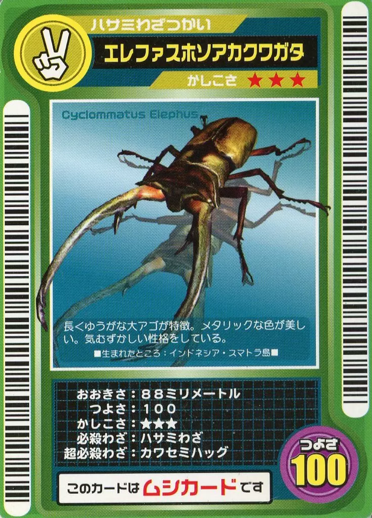 エレファスホソアカクワガタ