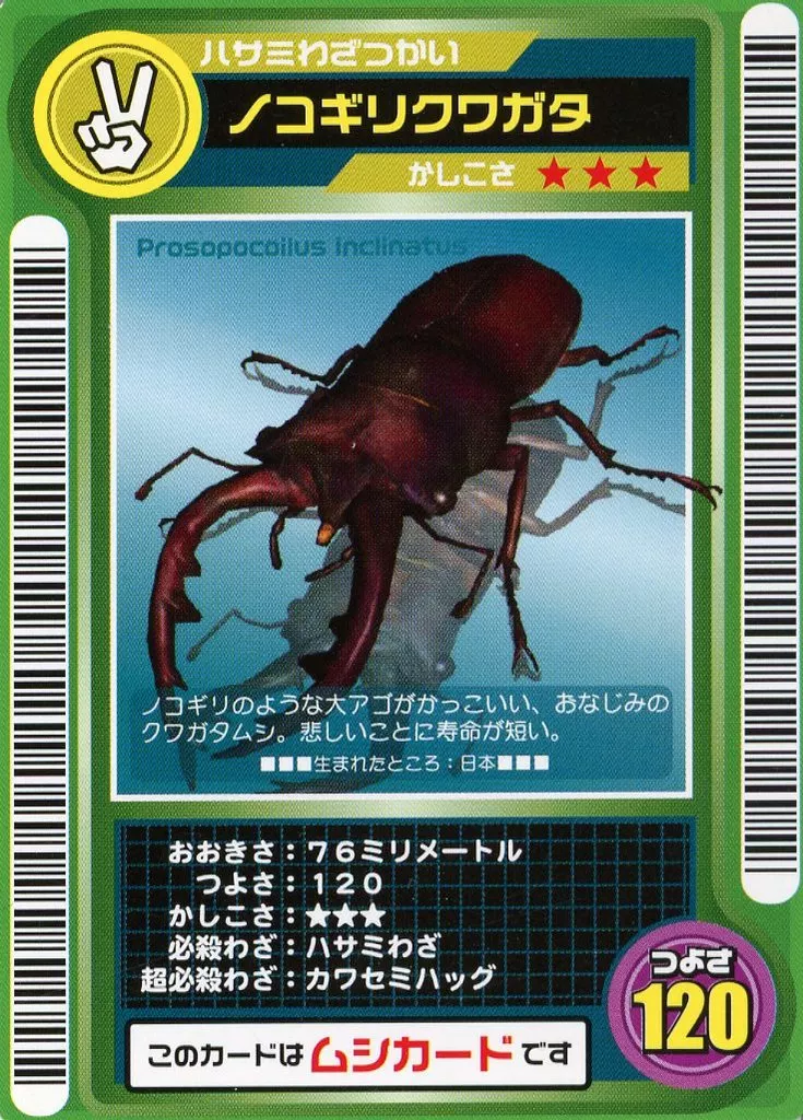 ノコギリクワガタ