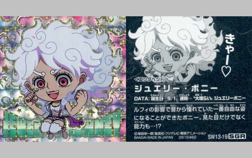 SW13-19[SGR]：ジュエリー・ボニー
