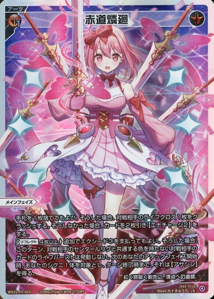 WX25-P3-003[LR]：赤道燐廻