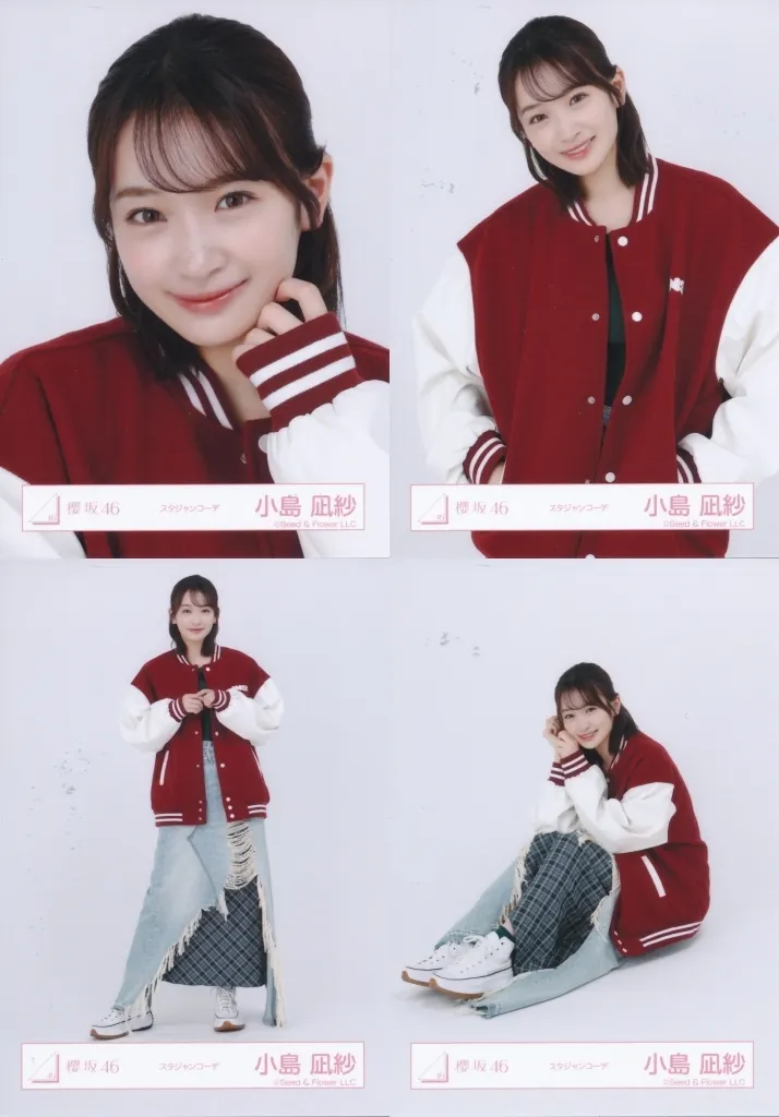 OneMall provides Suruga-ya products: 生写真(坂道シリーズ)/アイドル