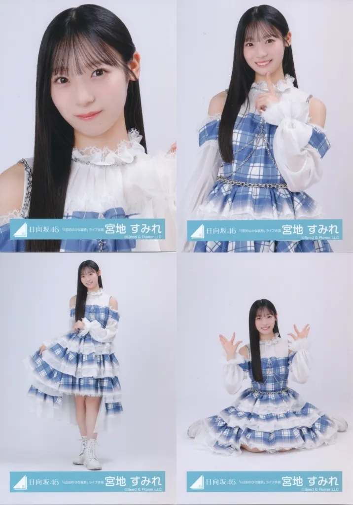 駿河屋 -<中古>◇日向坂46/宮地すみれ/日向坂46ランダム生写真【「6
