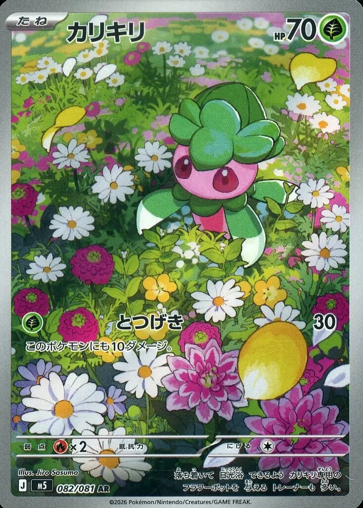 カリキリ